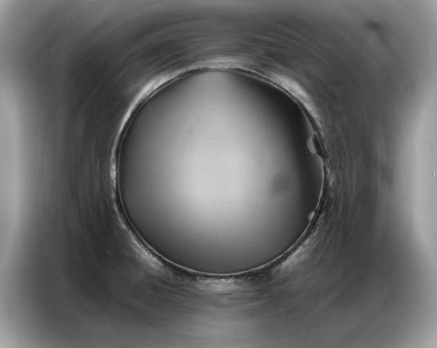 X0000086791428200704271821