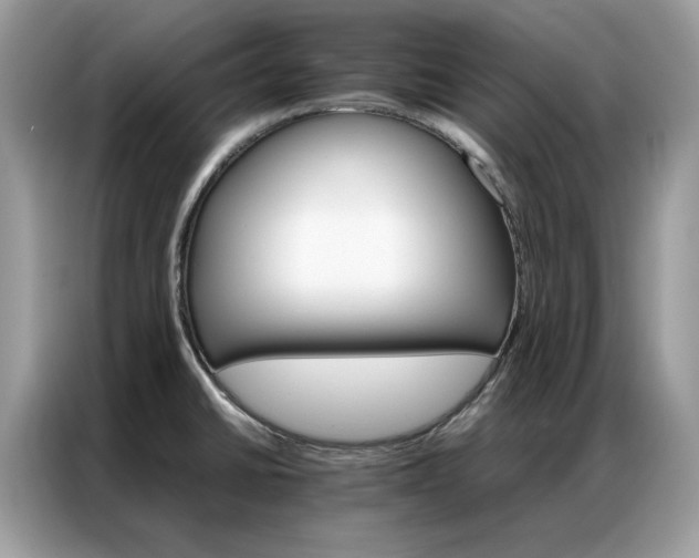 X0000086791430200704271821