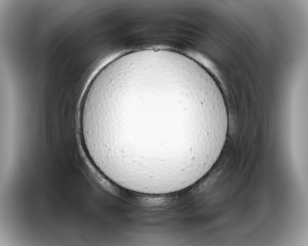 X0000086791431200704271821