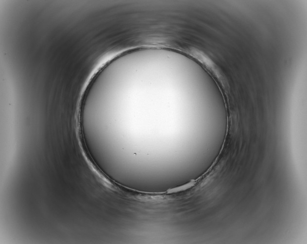 X0000086791432200704271821