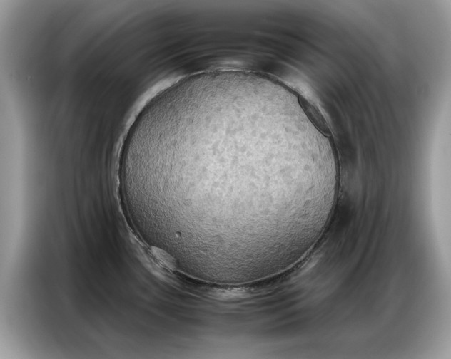 X0000086791435200704271821