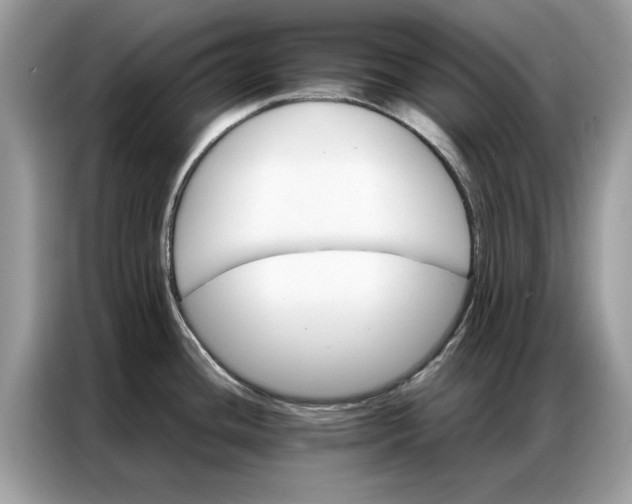 X0000086791436200704271821