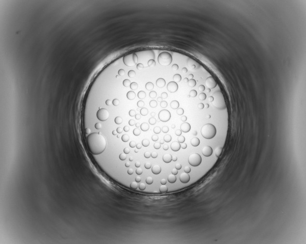 X0000086791437200704271821