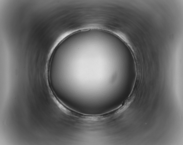 X0000086791438200704271821