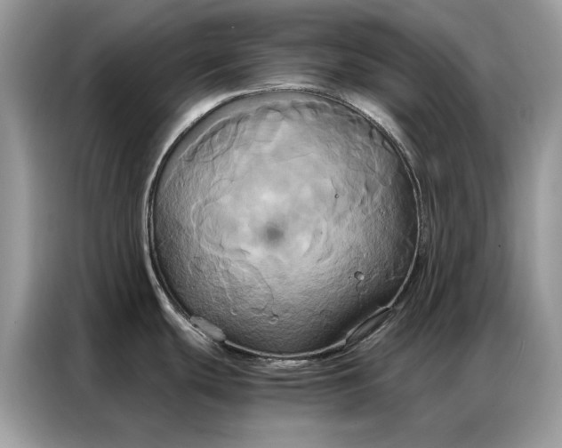 X0000086791439200704271821