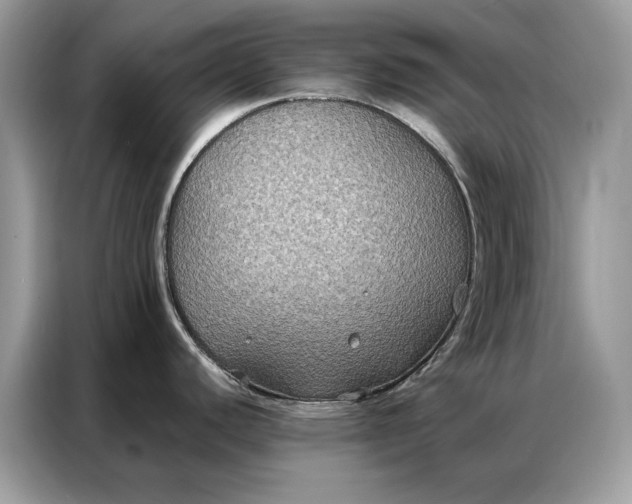 X0000086791440200704271821