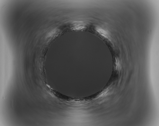 X0000086791441200704271821