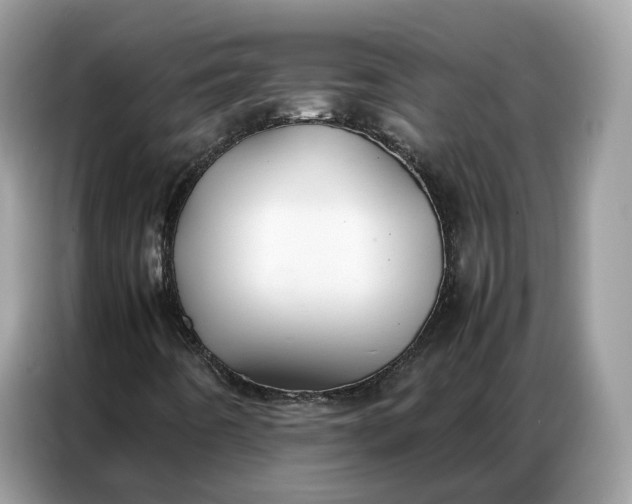 X0000086791442200704271821