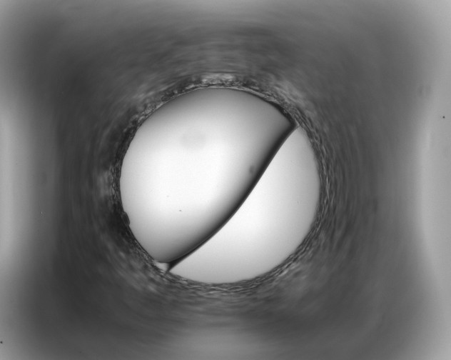 X0000086791445200704271821