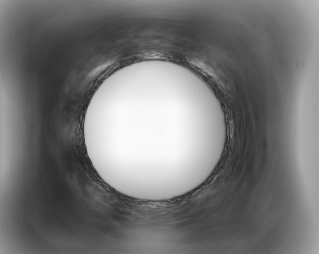 X0000086791446200704271821