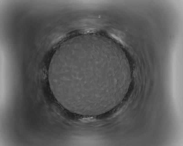 X0000086791447200704271821