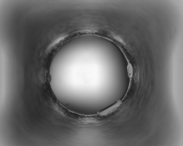X0000086791448200704271821