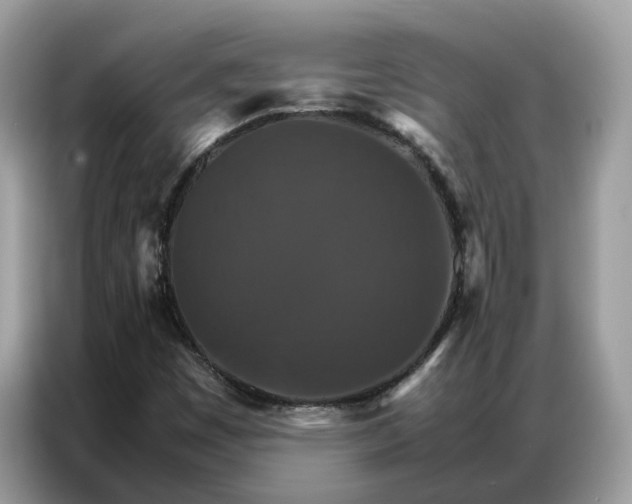 X0000086791449200704271821