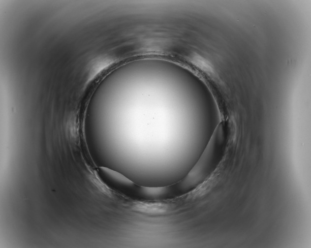 X0000086791450200704271821