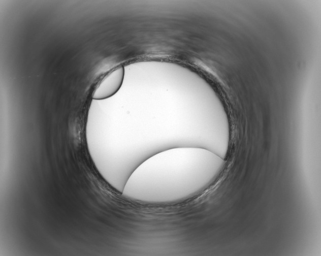 X0000086791451200704271821