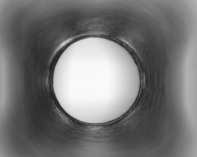 X0000086791452200704271821