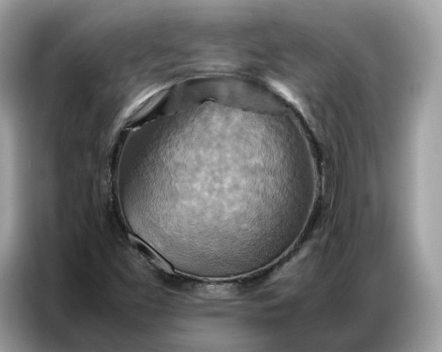 X0000086791453200704271821