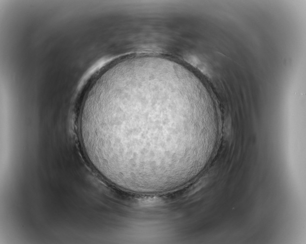 X0000086791454200704271821