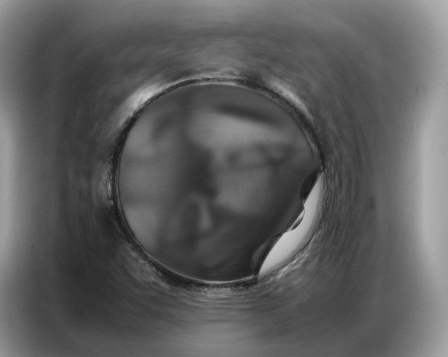 X0000086791455200704271821