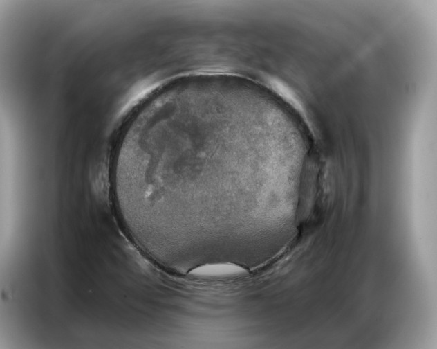 X0000086791456200704271821