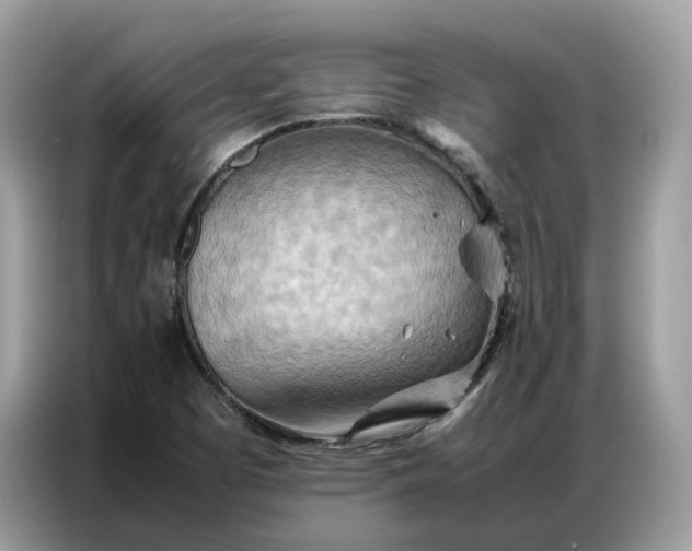 X0000086791457200704271821