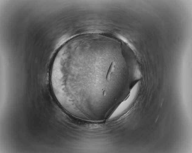 X0000086791459200704271821