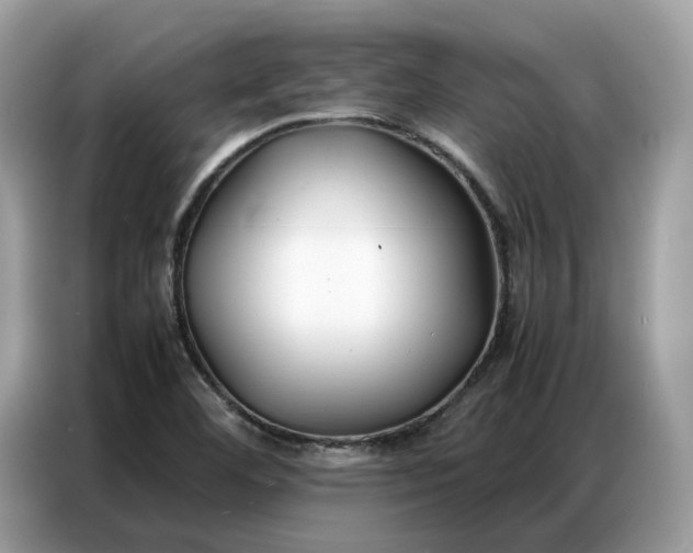 X0000086791460200704271821