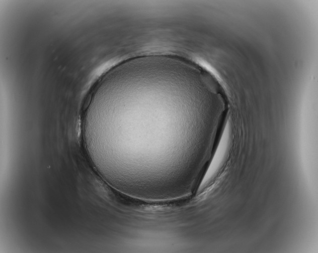 X0000086791461200704271821