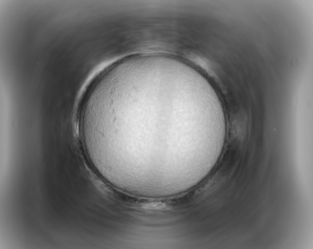 X0000086791462200704271821