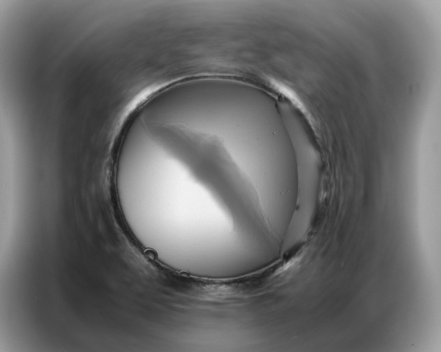 X0000086791463200704271820