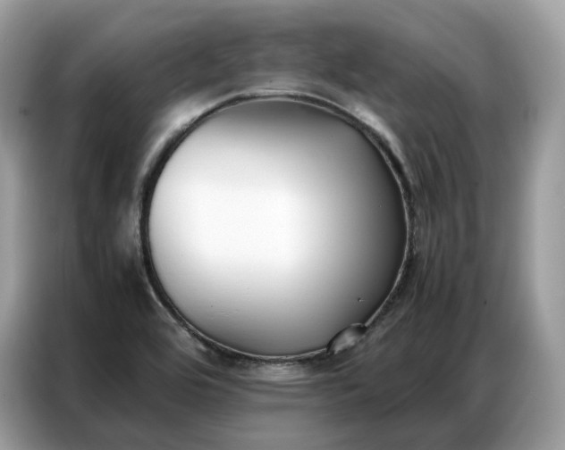 X0000086791464200704271820