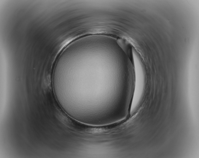 X0000086791465200704271820