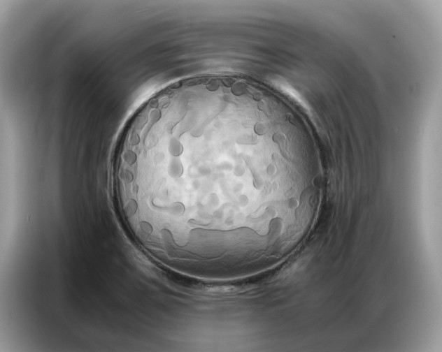 X0000086791467200704271820
