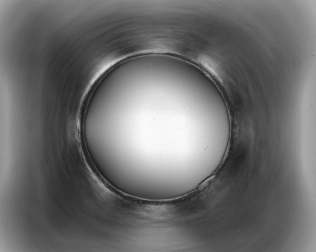 X0000086791468200704271820
