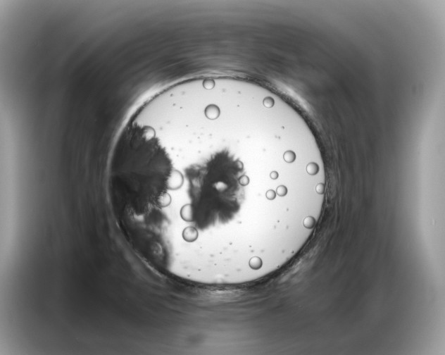 X0000086791471200704271820