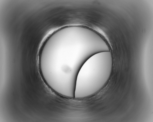X0000086791472200704271820