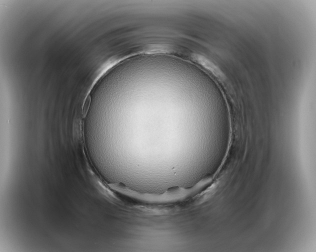 X0000086791473200704271820