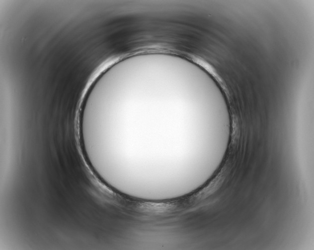 X0000086791474200704271820