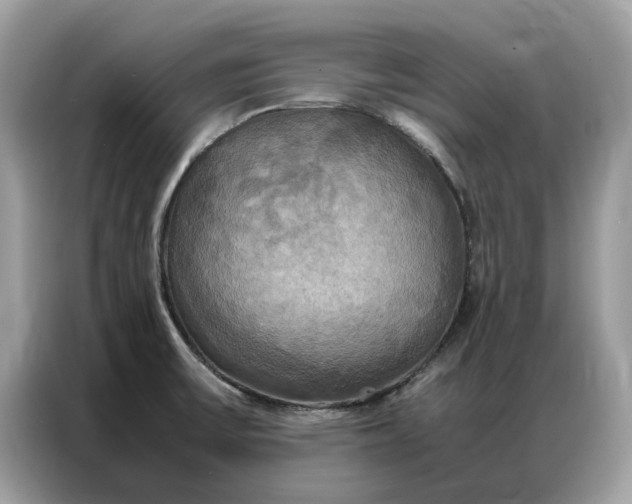 X0000086791475200704271820