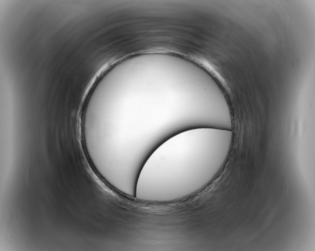 X0000086791476200704271820