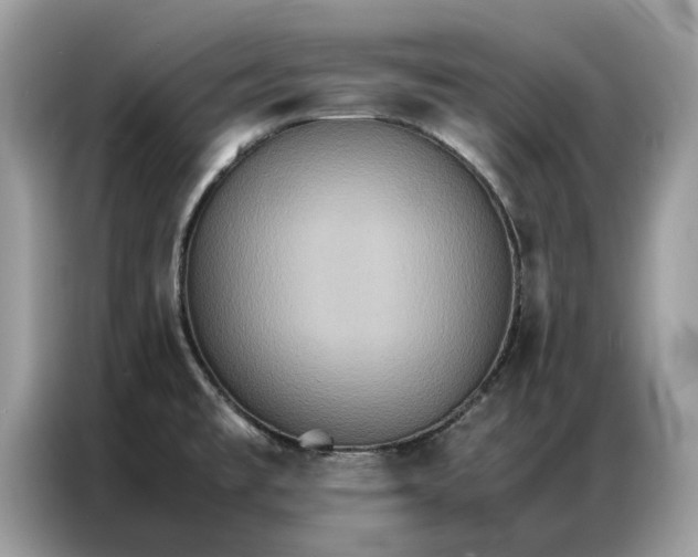 X0000086791477200704271820