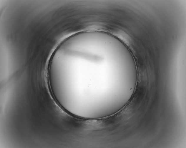 X0000086791478200704271820