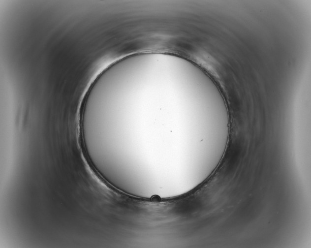 X0000086791479200704271820