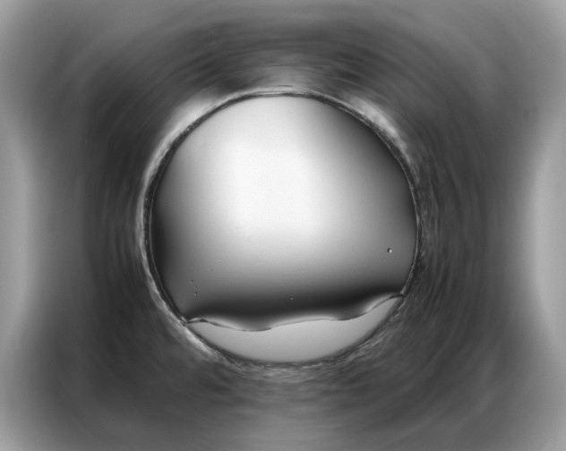 X0000086791480200704271820