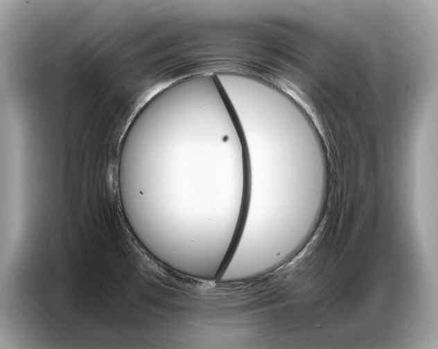 X0000086791481200704271820
