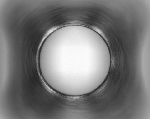 X0000086791482200704271820