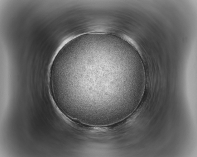 X0000086791483200704271820