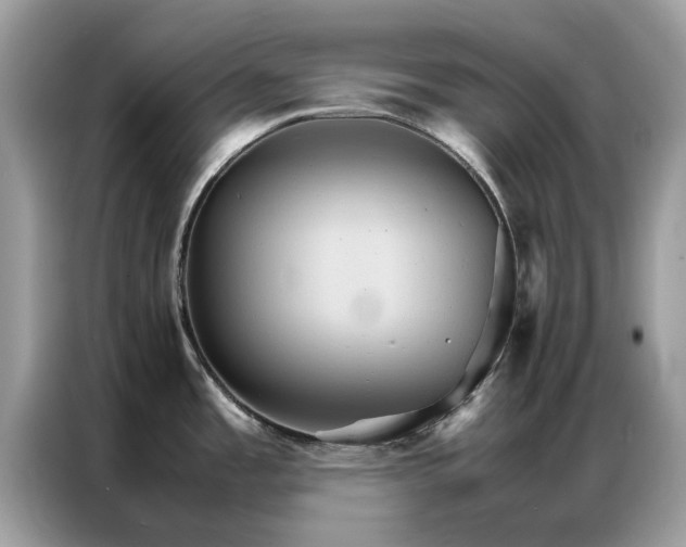 X0000086791485200704271820