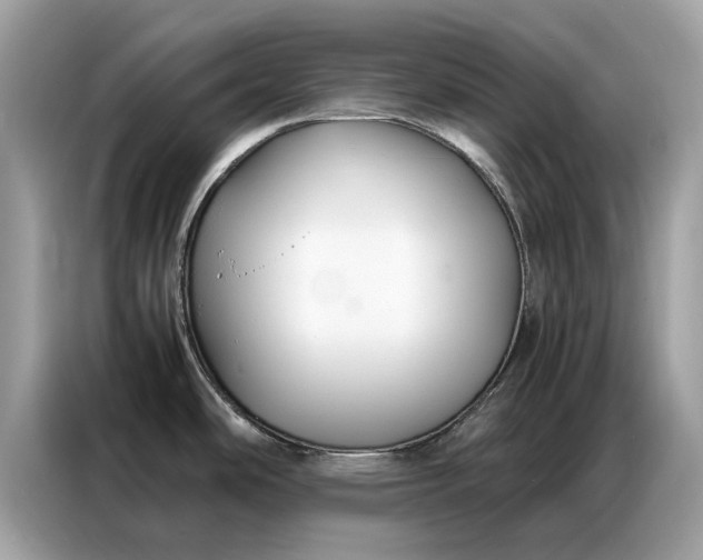 X0000086791486200704271820