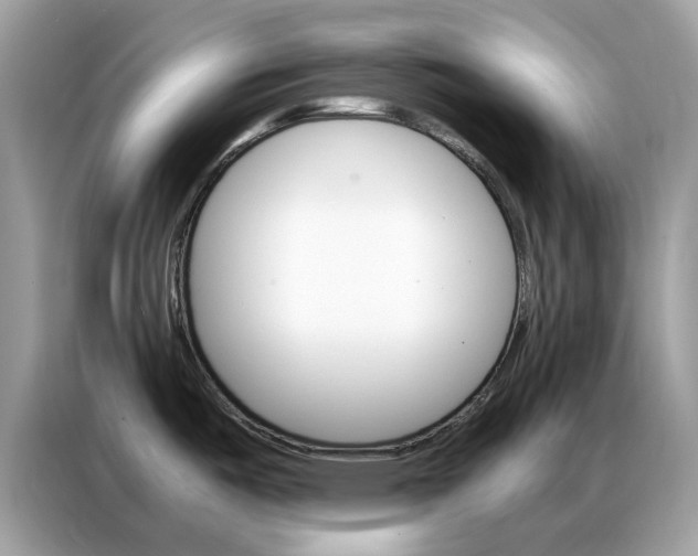 X0000086791487200704271820